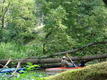 DSC00889.JPG