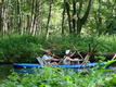 DSC00890.JPG