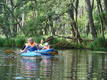 DSC00893.JPG