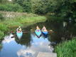 DSC00916.JPG