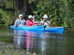 DSC00984.JPG
