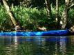 DSC00996.JPG