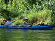 DSC01005.JPG