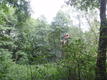 P8220515.JPG