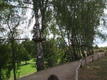 P8220522.JPG