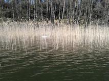 20120428_161535.jpg