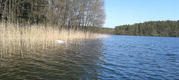 20120428_161549a.jpg