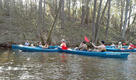 20120428_165339a.jpg