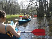 20120429_110927.jpg