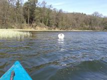 20120429_112624.jpg
