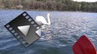 20120429_112650.mp4