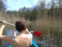 20120429_120259.jpg
