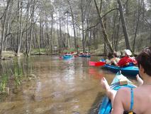 20120429_140922.jpg