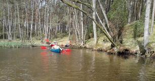 20120429_141135a.jpg