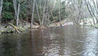 20120429_145940a.jpg