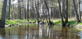 20120501_120639a.jpg