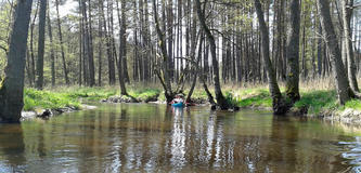 20120501_120639a.jpg