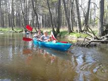 20120501_120817.jpg