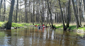20120501_120912a.jpg