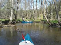 20120501_120950.jpg