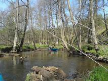 20120501_121302.jpg