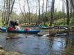 20120501_124955.jpg