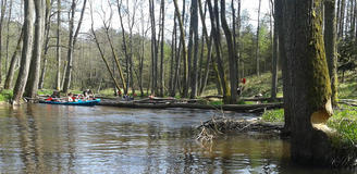 20120501_125314a.jpg