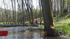 20120501_125550a.jpg