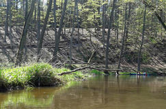 20120501_131254c.jpg