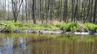 20120501_131319a.jpg