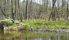 20120501_131323a.jpg