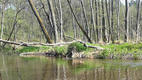 20120501_131327a.jpg