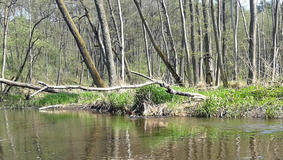 20120501_131327a.jpg