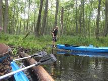 DSCF0681.jpg