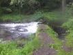DSCF0695.jpg