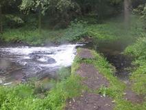 DSCF0695.jpg