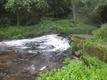 DSCF0696.jpg