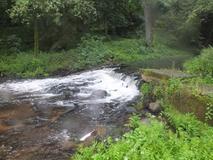 DSCF0696.jpg