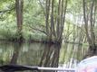DSCF0718.jpg
