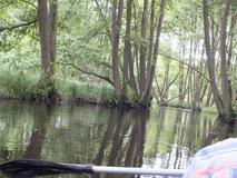 DSCF0718.jpg