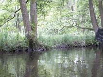DSCF0719.jpg