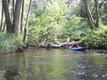 DSCF0722.jpg