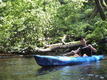 DSCF0723.jpg