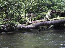 DSCF0724.jpg