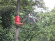 DSCF0737.jpg
