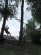 DSCF0757.jpg