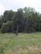 DSCF0764.jpg
