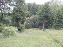 DSCF0765.jpg