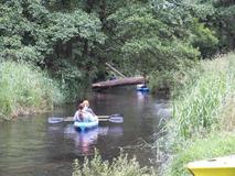 DSCF0782.jpg