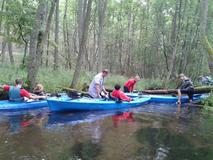 20120714_112950.jpg